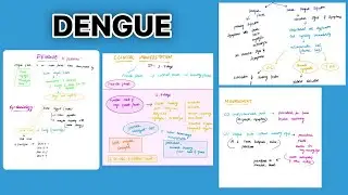 Dengue fever | medicine | paediatric | microbiology