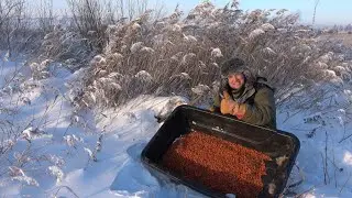 ИКРА???В СИБИРИ???НЕ МОЖЕТ БЫТЬ.....