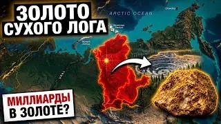 Тайга под Бодайбо скрывает крупнейшее месторождение ЗОЛОТА