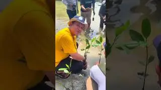Wisata di Kepulauan Seribu