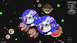 THE BEST EDIT