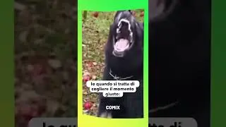 cogli l'attimo, l'altro attimo