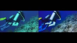 Simple Adobe Premiere Color Correction (Underwater Footage)