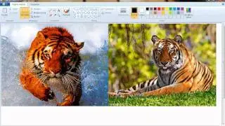 Tutorial - Come unire 2 immagini