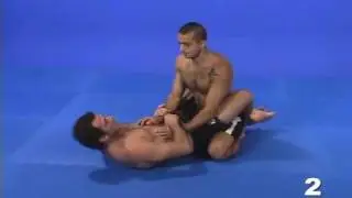 Eduardo Telles Turtle & Octopus Guard - Octopus Guard