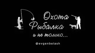 Охота на зайца 2020! Краснодарский край!🐇🐇🐇