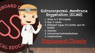 Extracorporeal Membrane Oxygenation (ECMO) Basics - Comprehensive Overview | Clinical Medicine