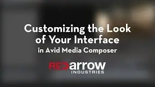 Customizing the Look of Your Interface in Avid Media Composer