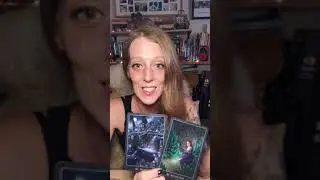 Abundance Collective! See The Signs! Intuitive Tarot & Oracle Reading - Timeless