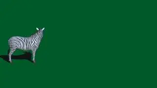 Animal Green screen effects
