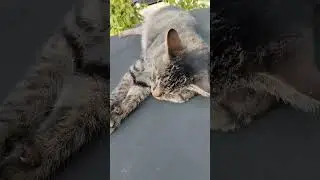 отдых
