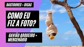 Gavião Arqueiro vs Mercenário {Foto de Figuras de Ação}[Marvel Legends](Bastidores e Dicas)