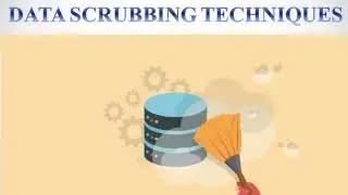 Data Scrubbing Techniques