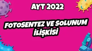 AYT Biyoloji - Fotosentez ve Solunum İlişkisi | AYT Biyoloji 2022 
