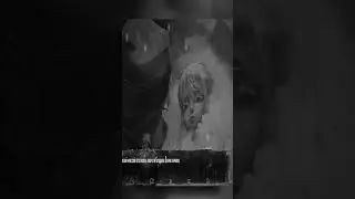 Реакция на смерть Оли  #Зайчик #tinybunny
