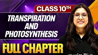 TRANSPIRATION AND PHOTOSYNTHESIS One Shot ( Theory + PYQs ) Class 10 ICSE Board