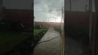 6 июня 2024 г.