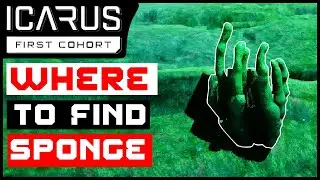 Icarus: Where To Find Sponge - (Basics Guide)