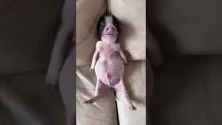 Когда взял от жизни всё......