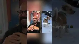 Which end is barking?😅🫣 