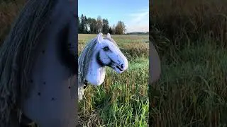 Noblefeet hobby horse  