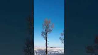 Winter: cocooning for peace ☮️