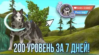 КАК БЫСТРО ПРОКАЧАТЬСЯ ДО 200 lvl | WildCraft