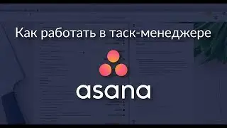 Управление проектами в Asana: подробный обзор таск-менеджера