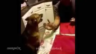 Приколы 2015 Подборка приколов #152 # FAIL COMPITATION