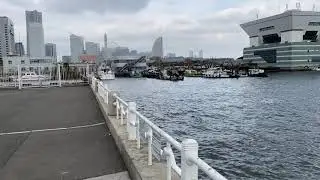 横浜の山下公園