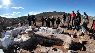 Titanosaur - World's Biggest Dinosaur