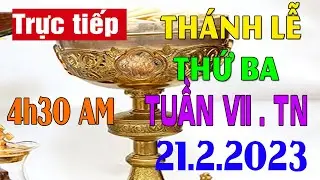 Thánh Lễ Trực Tuyến 4h30 sáng  Hôm Nay 21/2/2023 | Thứ Ba Tuần VII . TN  | Trực Tiếp Thánh Lễ