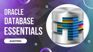13. Database Auditing