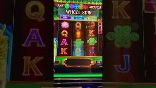 #dailyshorts #casino #gambling #trip #youtubeshorts
