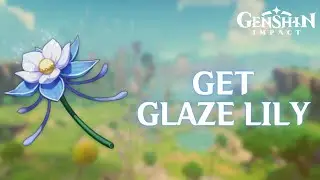 How to Get Glaze Lily in Genshin Impact 2024| Genshin Impact Tutorial