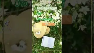 Доброе утро