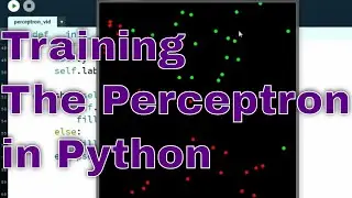 Perceptron Training Python
