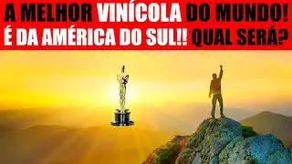 Qual é a melhor vinícola do Mundo? Conheça essa vinícola que fica aqui na America do Sul!!
