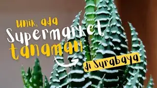 DI SURABAYA ADA SUPERMARKET YANG BIKIN REFRESH & ADEM #belanjatanaman #supermarketanaman