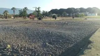 balıkesir edremit akçay sahil