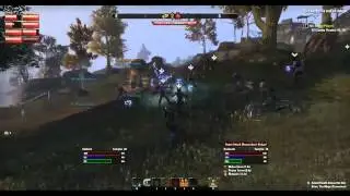 IMMORTALS in Cyrodiil, ESO PvP, Medium Group