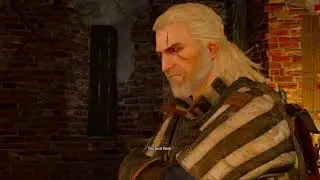 The Witcher 3 Wild Hunt: Things I Wish I Knew Earlier (Tips & Tricks)