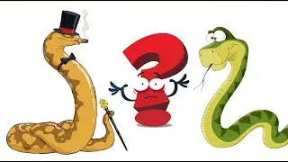 Python or boa constrictor