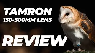 Tamron 150-500mm f/5-6.7 Di III VC VXD Lens Review