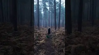 Haunting the forest #cinematicphotography #cinematic #darkcottagecore