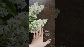 НАХОДКА С АВИТО. ДОСТОЙНО?