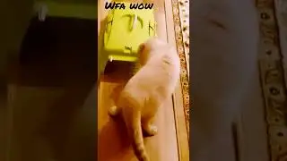 ты там?