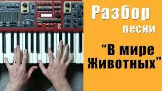 В мире животных - разбор на пианино | кавер - Уроки фортепиано