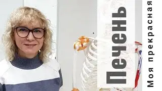 Моя прекрасная печень. Надежда Воробьева