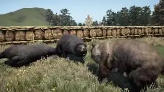 Farcry 4 Deathmatch Rare Chested Bear vs black Bear